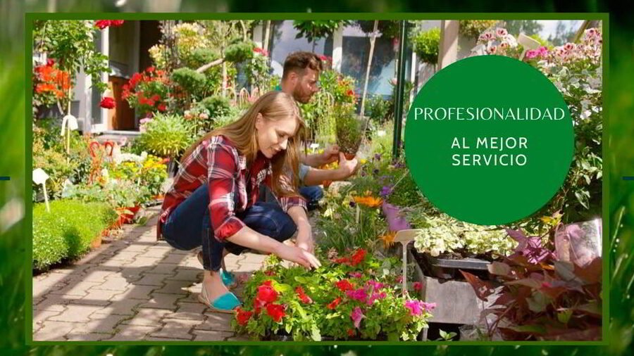 contrata al mejor jardinero en huelva para transformar tu jardin