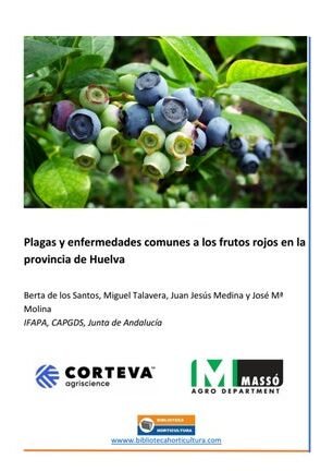 control de plagas en cultivos de huelva soluciones efectivas