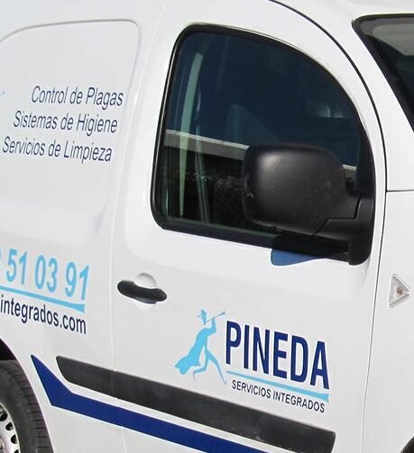 control de plagas en edificios soluciones efectivas en huelva