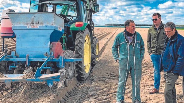 control de plagas en invernaderos de huelva soluciones efectivas