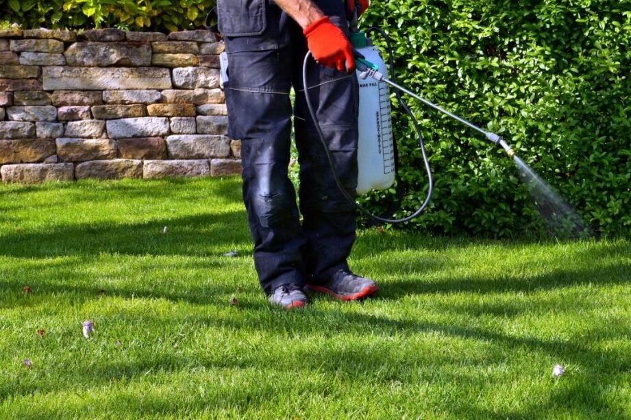 control de plagas en jardines de huelva soluciones efectivas