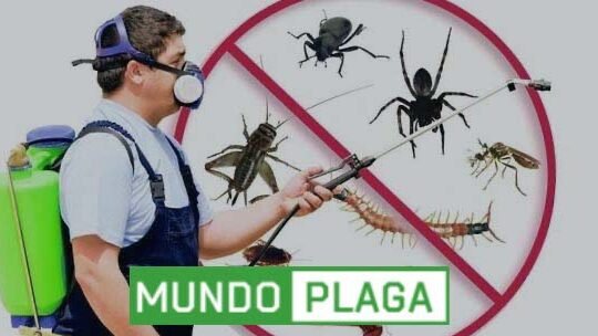 control de plagas en restaurantes solucion en huelva