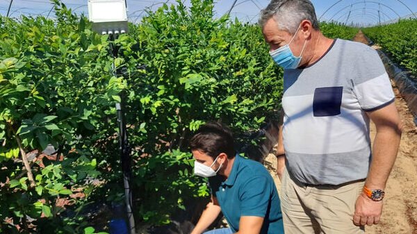 instalacion de riego en huelva ahorra tiempo y agua con nuestros servicios