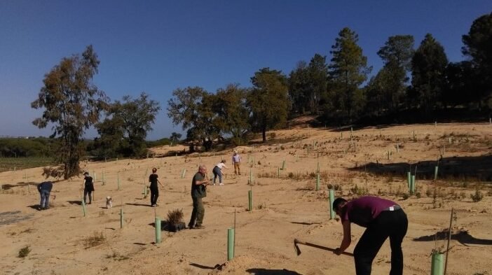 plantacion de arboles en huelva ayuda a mejorar el medio ambiente ahora