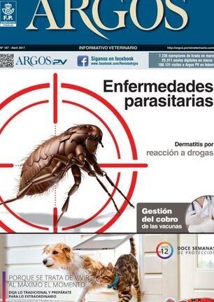 sustitucion de mosquiteras en huelva renueva tu hogar sin mosquitos